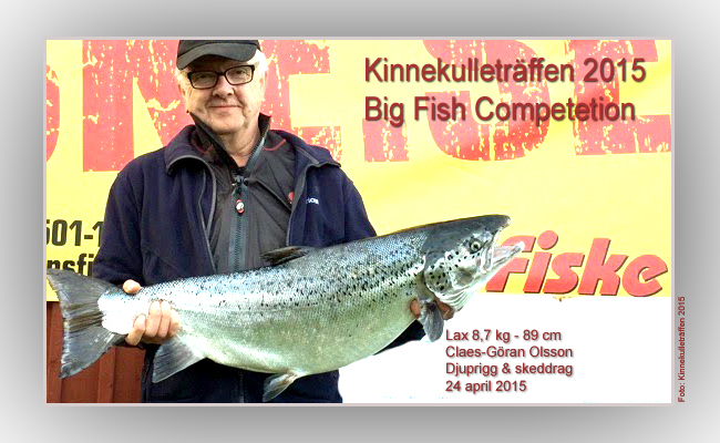 Kinnekulleträffen 2015 big fish competetion 8.7 kg lax team olsson