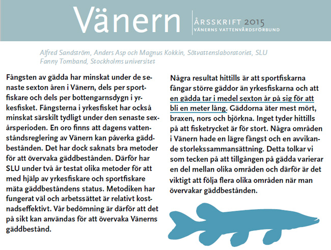 100 klubbare metergädda 100 cm vänergädda vänerns vattenvårdsförbund årsskrift 2015