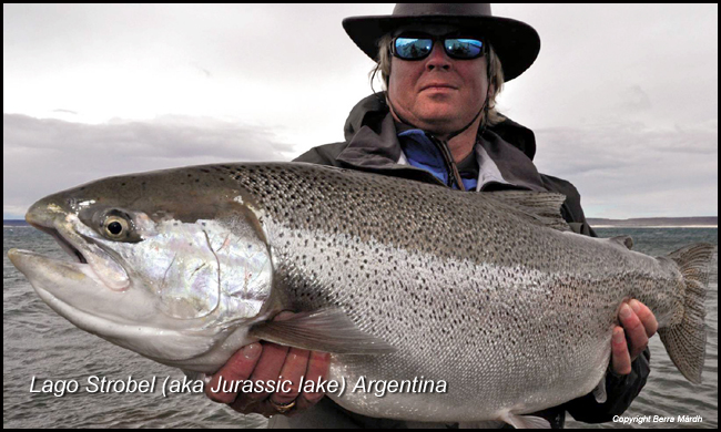 jurrasic-lake-labo-strobel-argentina-rainbow-trout-berra-mardh-flyfishing
