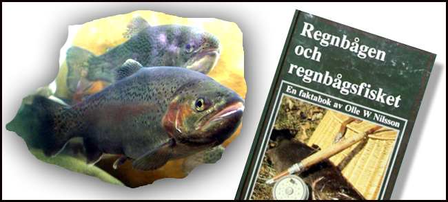 regnbagsoring-regnbage-put-and-take-odlad-fisk-flugfiske-regnbagsfiske