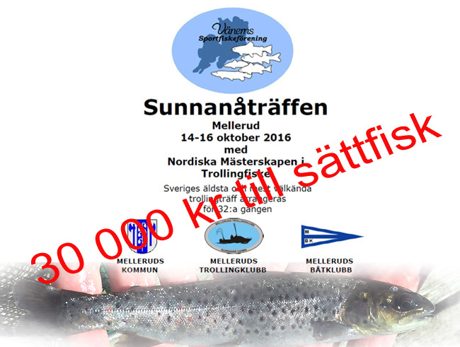 smolt-sattfisk-oring-lax-gullspangsorin-gullspangslax-sunnanatraffen-2016