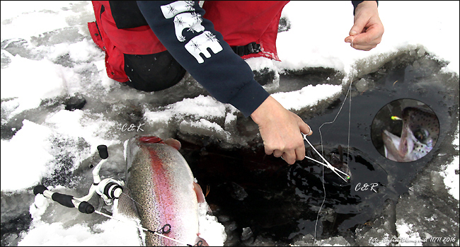icefishing-jaw-jacker-ismete-regnbage-isfiske-savenfors-fiskodling-foto-bjorn-blomqvis