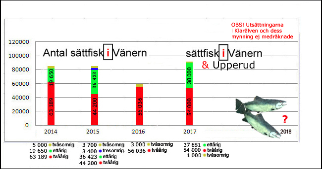 utsättningar 2017 vänern smolt tvåårig ettårig tvåsomrig sättfisk brommösund duse udde gaperhult upperud-2017-lax-öring-outdoor-björn-blomqvist