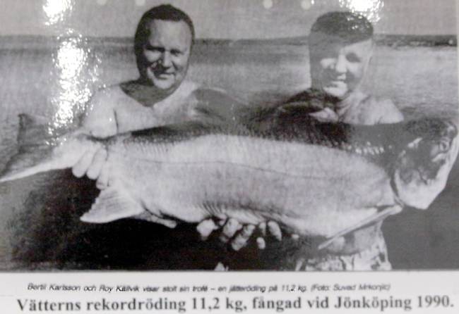 rekordröding 11.2 kg Vättern 3 augusti 1990 nätfiske baskarp