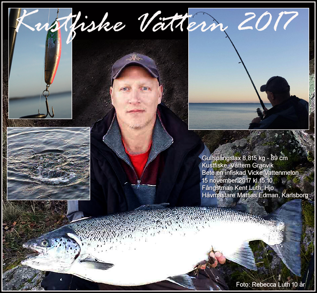 kent luth rebecca luth laxfiske vättern gullspångslax granvik spinnfiske vicke 15 november 2017