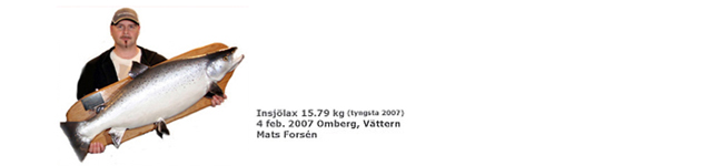 gullspångslax rekord Mats-Forsén-rekordlax-2007-15_79-kg-vättern-trolling-storlaxfiske