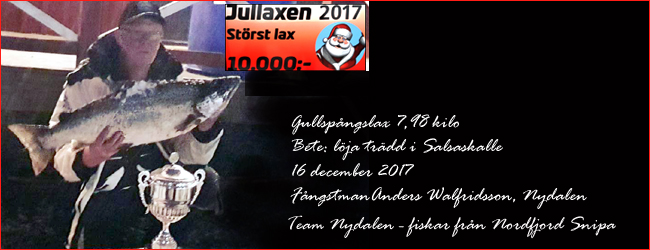 team nydalen vinnare jullaxen 2017 anders walfridsson gullspångslax laxfiske trolling vättern outdoor
