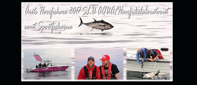 årets havsfiskare 2017