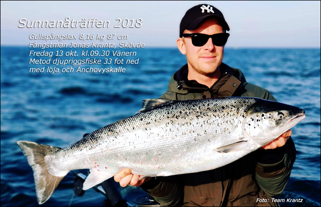 8160 gram 87 cm gullspångslax jonas krantz sunnanåträffen 2018 vänern trollingfiske rekordfisk