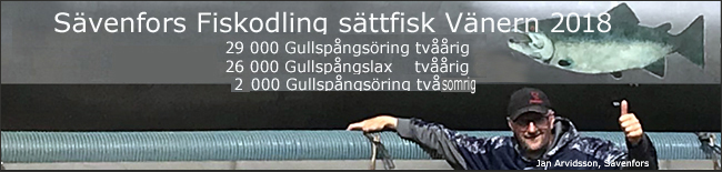 totalen smolt-vänern-Sävenfors-fiskodling-2018-gullspångslax-gullspångsöring
